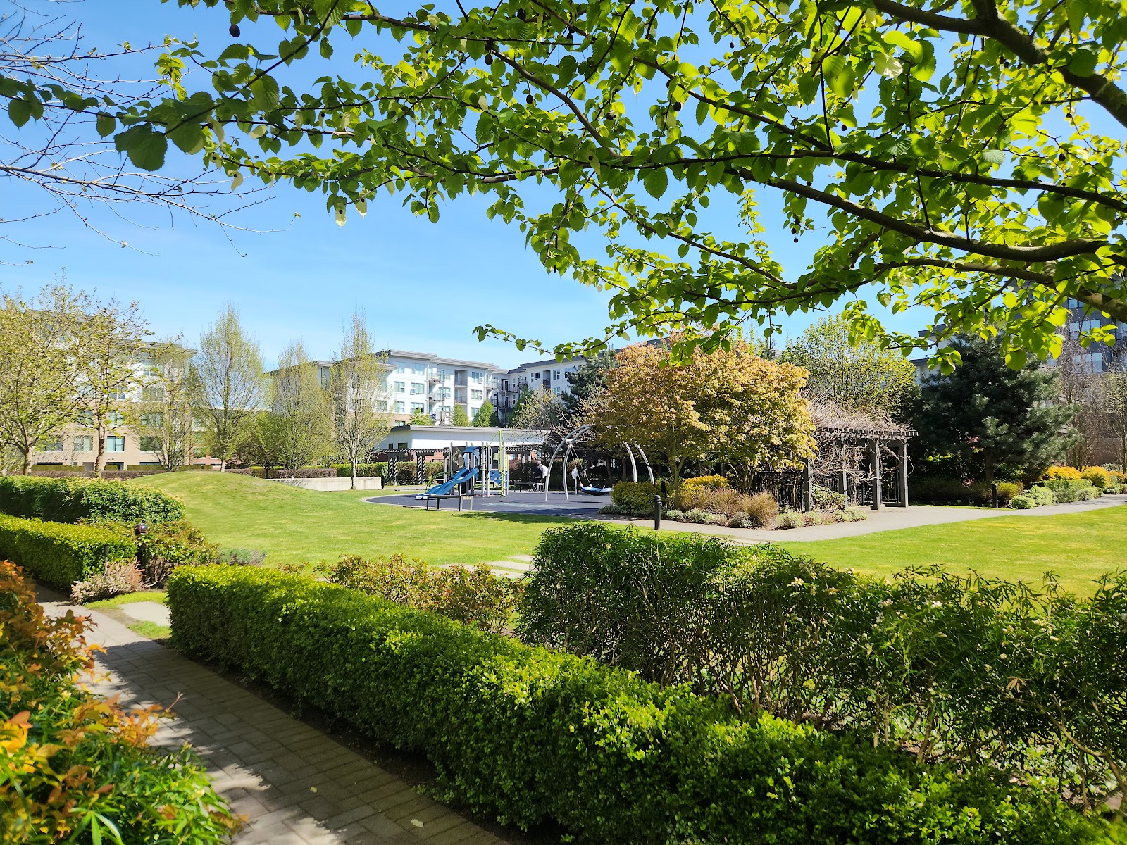 Alexandra Court building photo