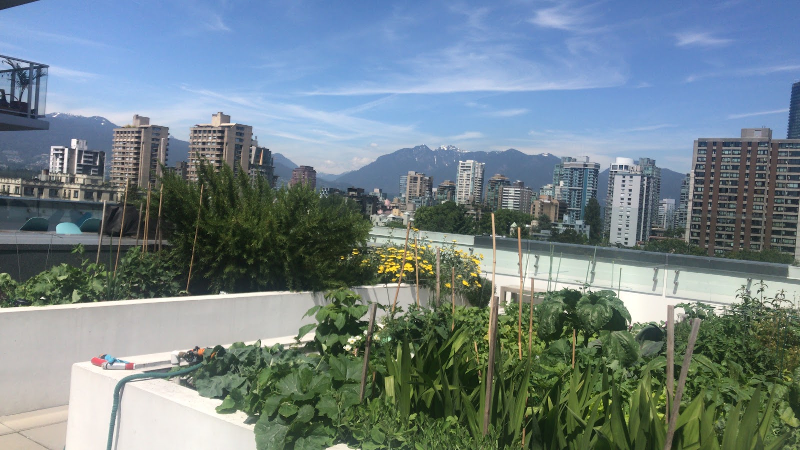 Pendrell, Vancouver — building photo